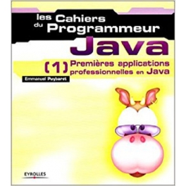 livre les cahiers du programmeur java