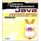 livre les cahiers du programmeur java