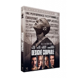 dvd désigné coupable