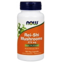 Reishi mushroom