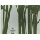 livre les roles de la forêt au XXème siècle