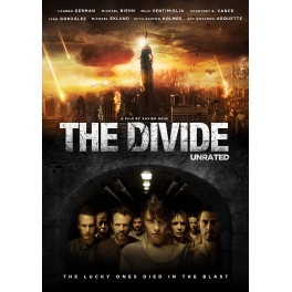 dvd the divide